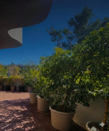 AMBIENT ZYRE + PARKIM ME QIRA 176 m² 4.500 € (RR.ELBASANIT)