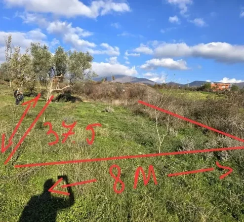 Tirane, shitet toke , 300 m² 30.000 € (Mullet)