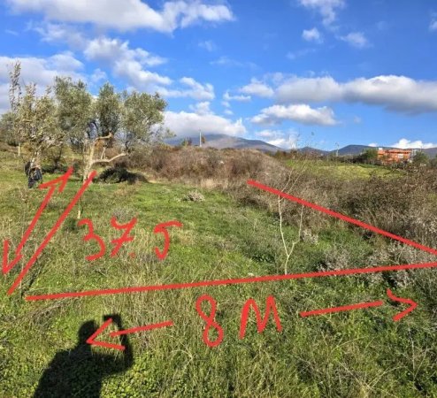 Tirane, shitet toke , 300 m² 30.000 € (Mullet)