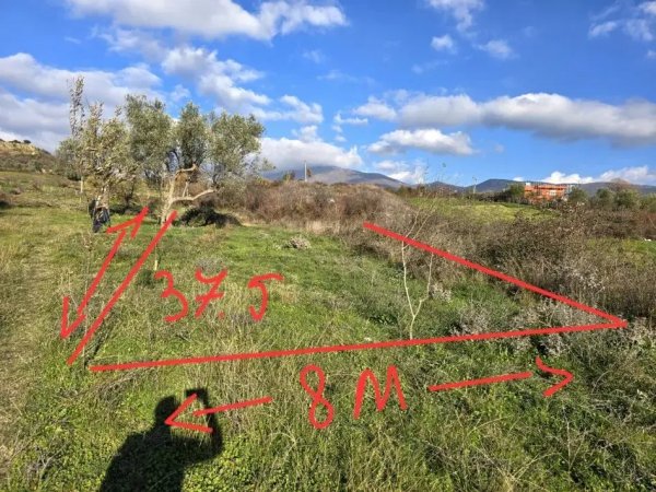 Tirane, shitet toke , 300 m² 30.000 € (Mullet)
