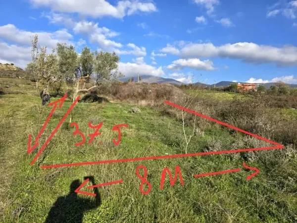 Tirane, shitet toke , 300 m² 30.000 € (Mullet)