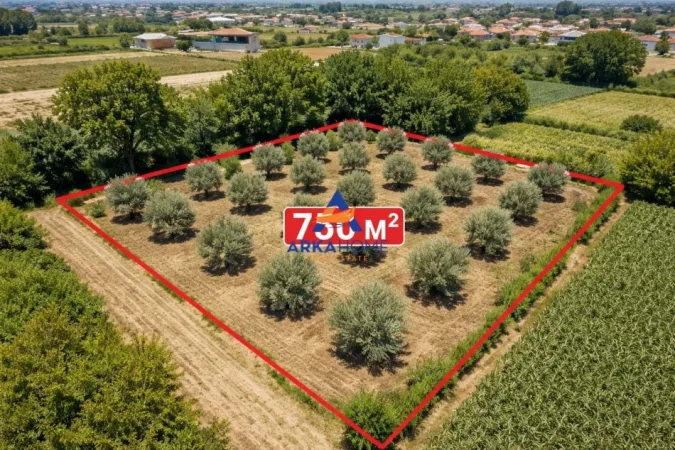 Fier, shitet toke , 750 m² 45.500 € 