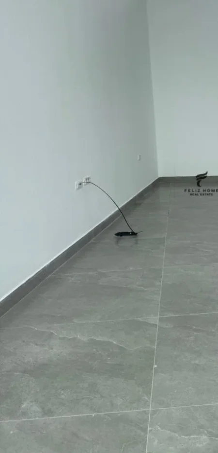 Tirane, jepet me qera zyre Kati 0, 35 m² 500 € (QENDER)