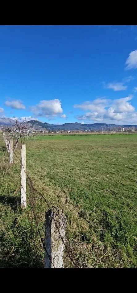 Tirane, shitet toke , 5.000 m² (Shengjin)