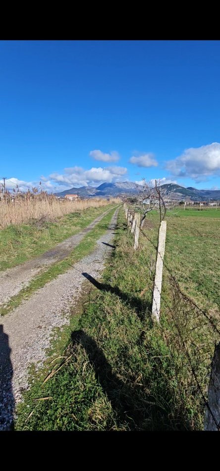 Tirane, shitet toke , 5.000 m² (Shengjin)