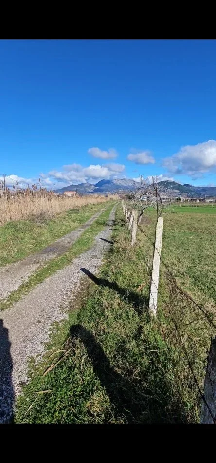 Tirane, shitet toke , 5.000 m² (Shengjin)