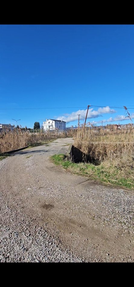 Tirane, shitet toke , 5.000 m² (Shengjin)