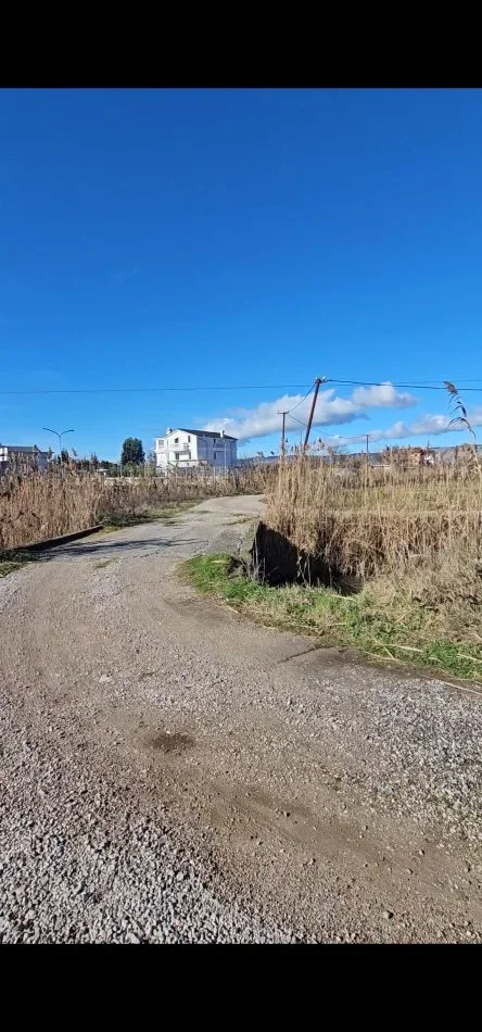 Tirane, shitet toke , 5.000 m² (Shengjin)