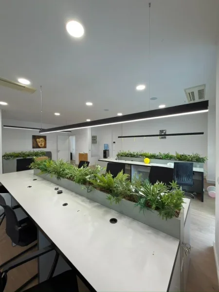 Tirane, jepet me qera zyre Kati 5, 180 m² 2.500 € (Kompleksi Delijorgji)