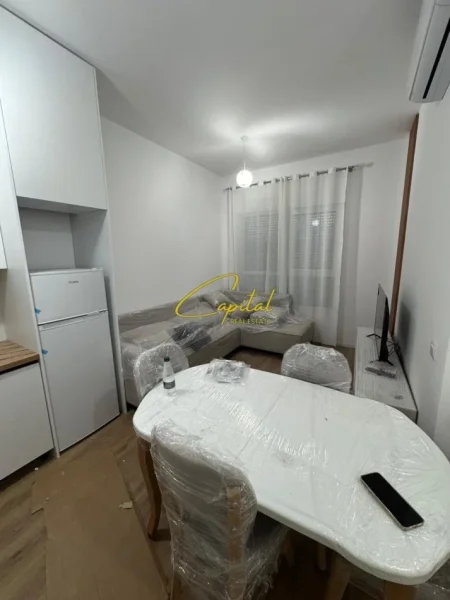 Tirane, jepet me qera apartament 1+1 Kati 1, 55 m² 450 € (ALI DEMI)