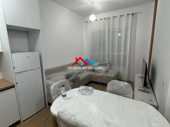 Tirane, jepet me qera apartament 1+1+Ballkon Kati 0, 55 m² 450 € (RRUGA PASHO HYSA,ALI DEM)