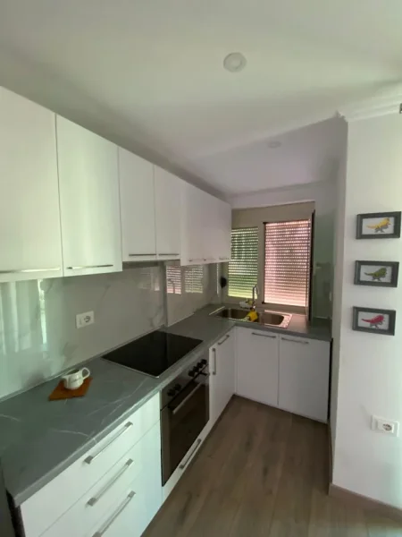 Tirane, jepet me qera apartament 1+1+Ballkon Kati 4, 60 m² 600 € (Rruga e Durrësit)