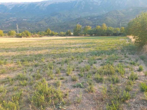 Permet, shes toke bujqesore , 4.400 m² (Qilarisht)