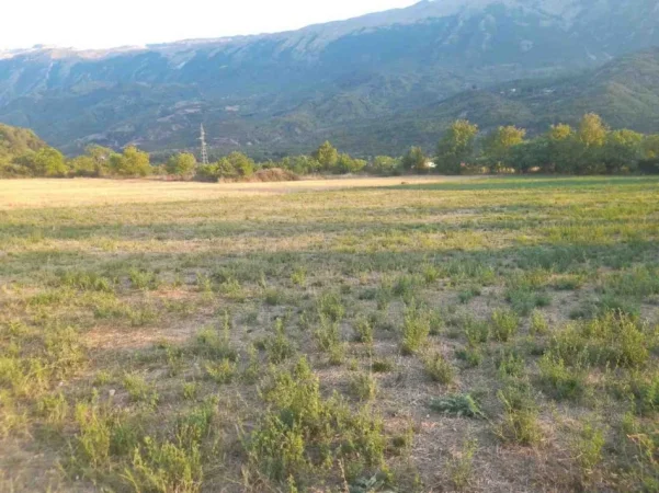 Permet, shes toke bujqesore , 4.400 m² (Qilarisht)