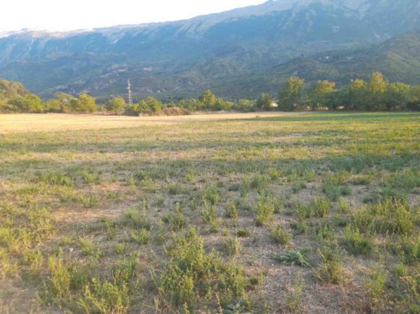 Permet, shes toke bujqesore , 4.400 m² (Qilarisht)