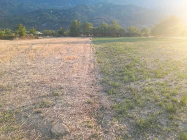 Permet, shes toke bujqesore , 4.400 m² (Qilarisht)