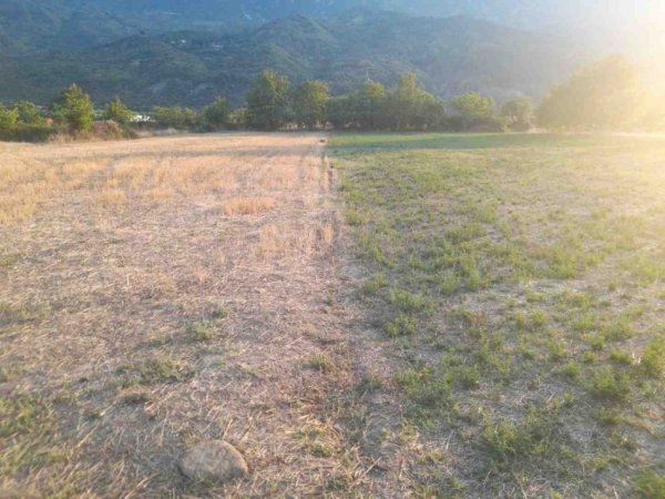 Permet, shes toke bujqesore , 4.400 m² (Qilarisht)