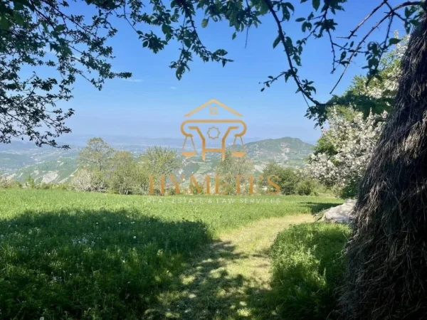 Elbasan, shitet Vile 2 Katshe , 162 m² 299.000 € (Gjinar)