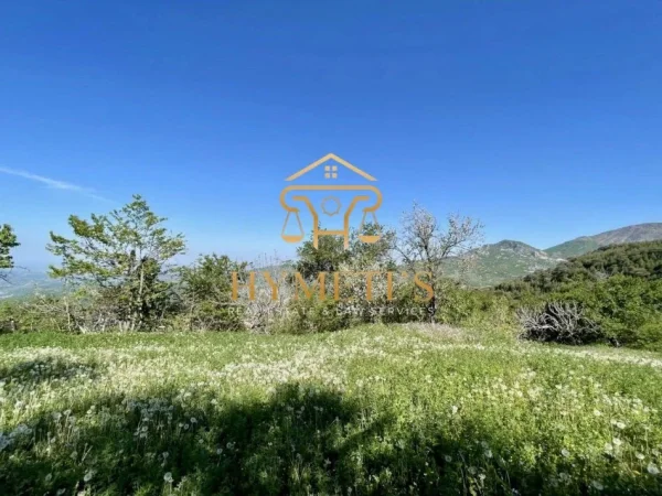Elbasan, shitet Vile 2 Katshe , 162 m² 299.000 € (Gjinar)