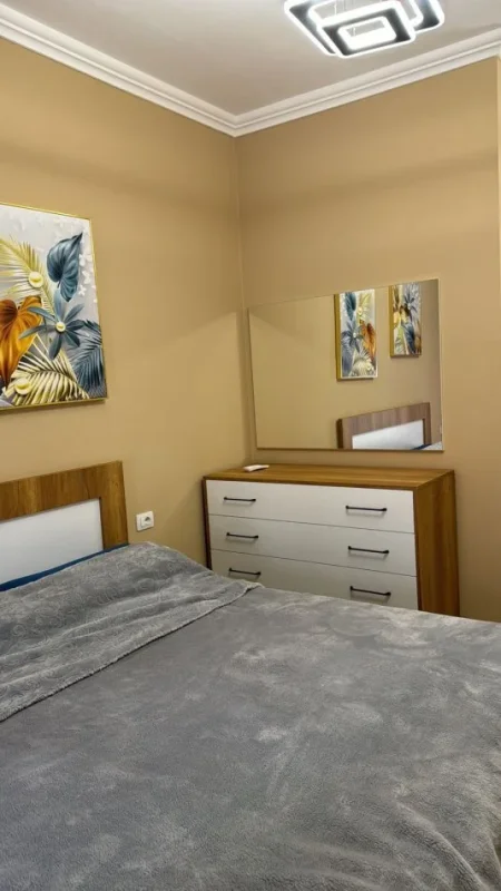 Tirane, jepet me qera apartament 1+1 Kati 7, 65 m² 500 € (Prane Bar Oda, tek 5 Maj, Tirane.)