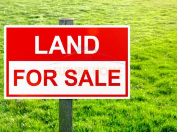 Shitet, Toke, Yzberisht