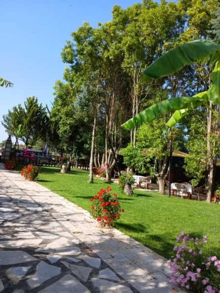 Divjake, shes hotel Kati 4, 1.500 m² 900.000 € (Divjake)