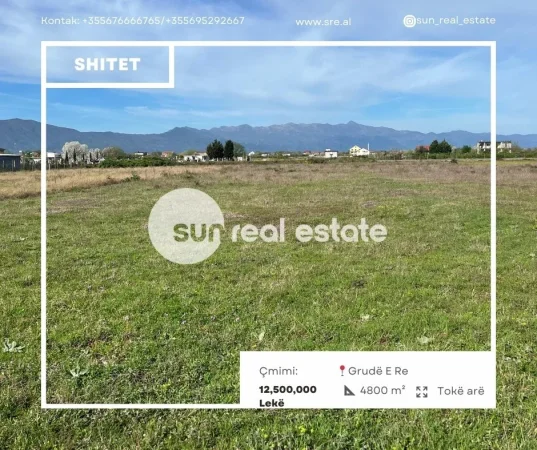 Shkoder, shitet toke , 4.800 m² (GRUDE E RE)