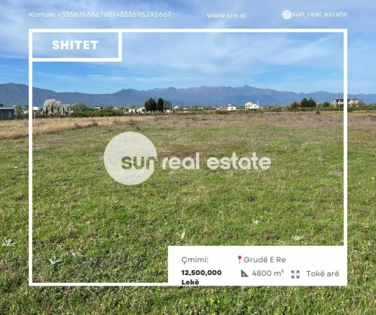 Shkoder, shitet toke , 4.800 m² (GRUDE E RE)