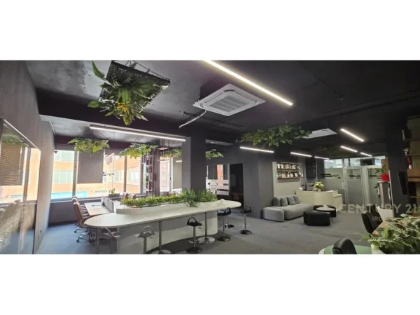Tirane, shitet zyre Kati 1, 355 m² (delijorgj)