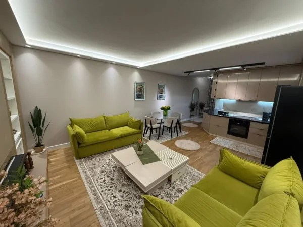 Tirane, jepet me qera apartament 1+1 Kati 1, 90000 Leke