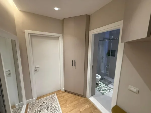 Tirane, jepet me qera apartament 1+1 Kati 1, 90000 Leke