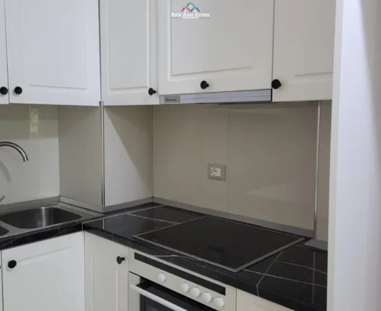Tirane, jepet me qera apartament 1+1 Kati 4, 65 m² 400 € (Kopshti botanik)