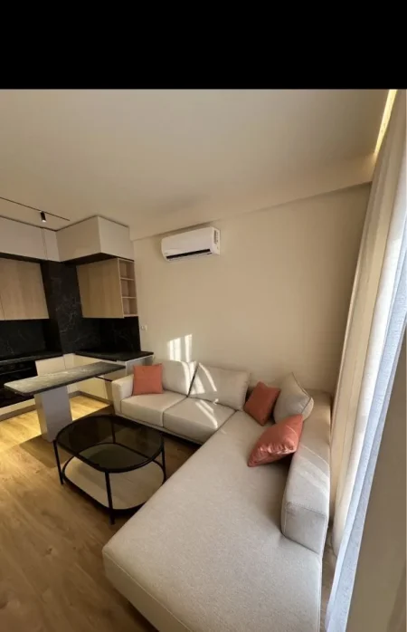 Tirane, jepet me qera apartament 1+1 Kati 7, 55 m² 530 € (Rr Pasho Hysa)