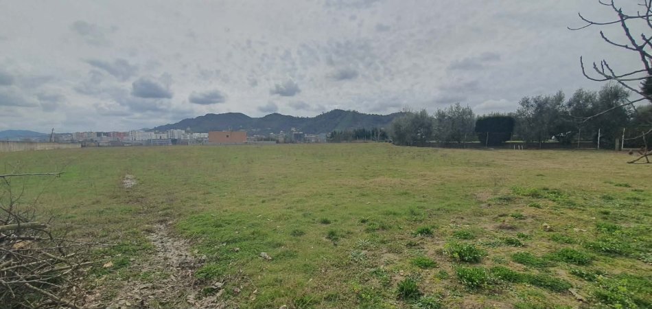 Tirane, shitet truall , 10.000 m² (vore)