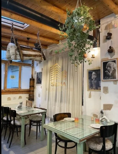 Tirane, shitet ambjent biznesi Kati 0, 67 m² 180.000 € (Vasil Shanto)