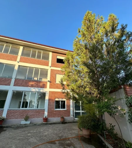 Tirane, jepet me qera ambjent biznesi , 1.600 m² 5.000 € (Linze)