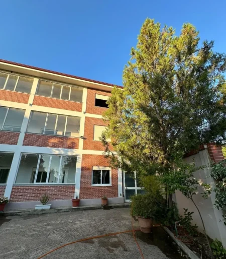 Tirane, jepet me qera ambjent biznesi , 1.600 m² 5.000 € (Linze)