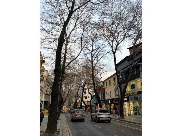 Qera, Ambient Biznesi, Myslym Shyri