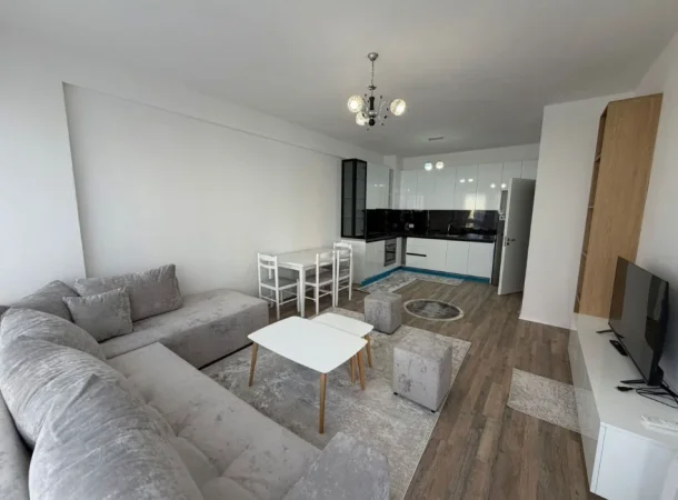 Tirane, jepet me qera apartament 1+1 Kati 2, 