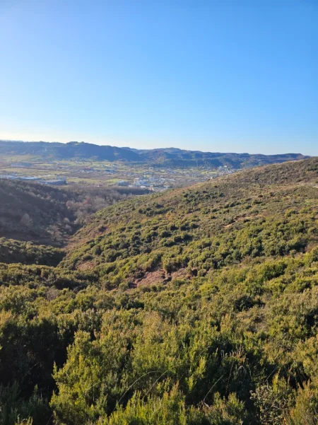 Tirane, shitet , 146.908 m² 