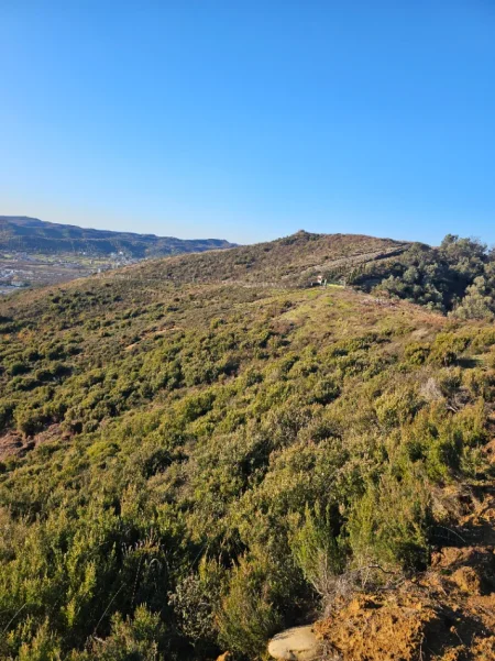 Tirane, shitet , 146.908 m² 