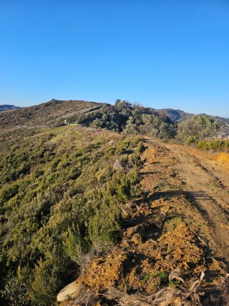 Tirane, shitet , 146.908 m² 