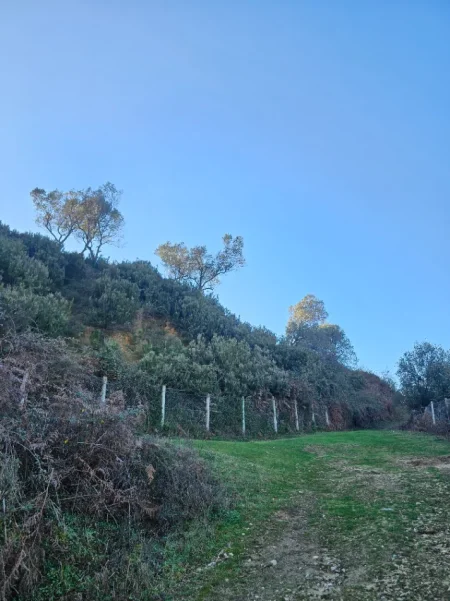 Tirane, shitet , 146.908 m² 