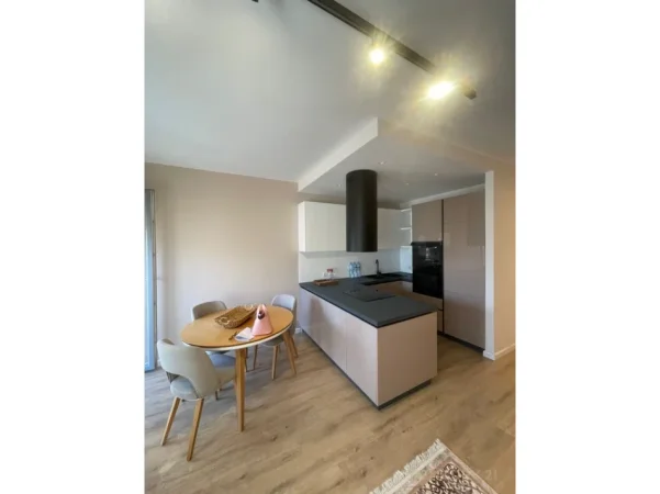 Tirane, jepet me qera apartament 1+1+Ballkon Kati 7, 69 m² 600 € (materniteti i ri)