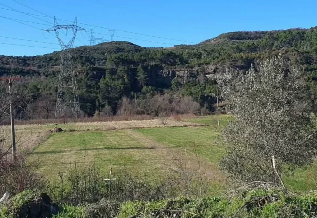 Tirane, shitet truall , 1.400 m² (Ibe e poshtme)