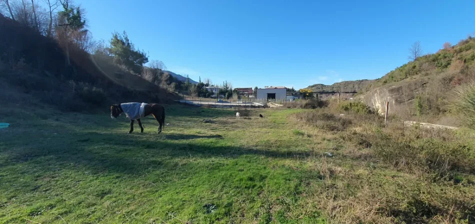 Tirane, shitet toke , 2.523 m² (Ibe e poshtme)