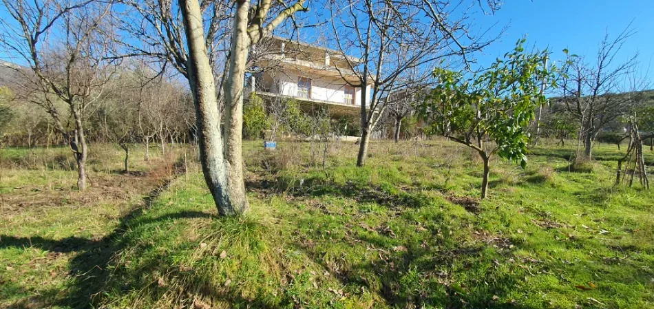 Tirane, shitet nga Pronari, pa-komision shtepi 3 Katshe Kati 3, 394 m² 400.000 € (Ibe e poshtme)