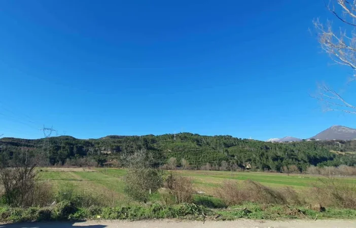 Tirane, shitet truall , 1.400 m² (Ibe e poshtme)