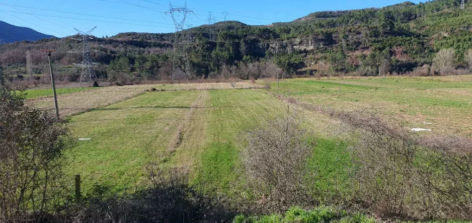 Tirane, shitet truall , 1.400 m² (Ibe e poshtme)