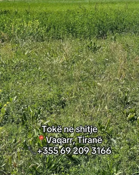 Tirane, shitet truall , 2.300 m² (Vaqarr)